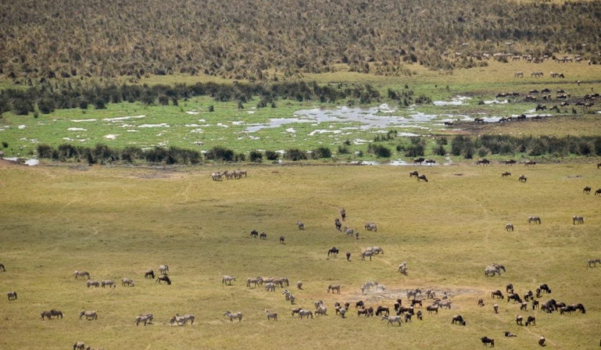 Ngorongoro_crater